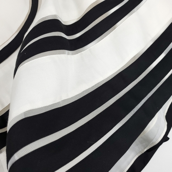 Ann Taylor Cream Blk Stripe Lace Silk Skirt Sz 2 - Picture 9 of 13